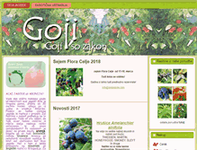 Tablet Screenshot of gojijagode.com